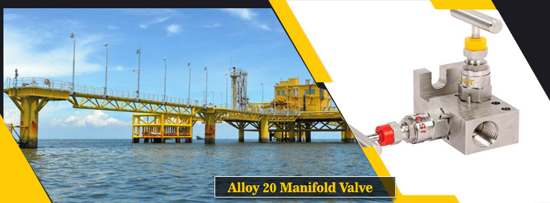Alloy 20 Manifold Valve